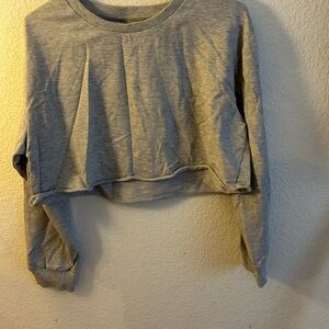 Gray and Blue Cropped Sweatshirt